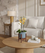 Load image into Gallery viewer, Misty Blue stand:walnut
