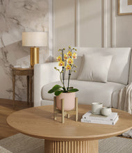 Load image into Gallery viewer, Sandy Pink stand:bamboo
