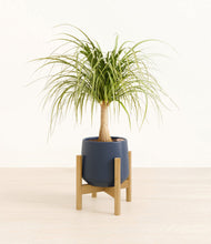 Load image into Gallery viewer, Deep Navy stand:bamboo
