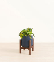 Load image into Gallery viewer, Deep Navy stand:walnut
