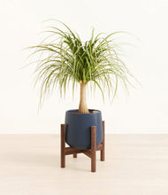 Load image into Gallery viewer, Deep Navy stand:walnut
