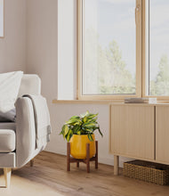 Load image into Gallery viewer, Mustard stand:walnut
