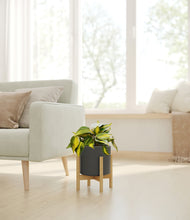 Load image into Gallery viewer, Dark Olive stand:bamboo
