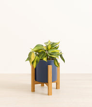 Load image into Gallery viewer, Deep Navy stand:light
