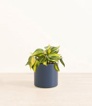 Load image into Gallery viewer, Deep Navy*****Profile
