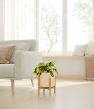 Load image into Gallery viewer, Cream stand:bamboo
