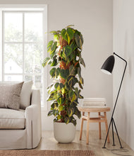 Charger l'image dans la galerie, Natural Bamboo stand:all
