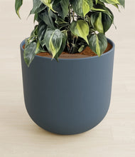 Load image into Gallery viewer, Iron Gray stand:all

