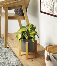 Load image into Gallery viewer, Dark Olive stand:light
