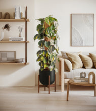 Charger l'image dans la galerie, Stone Black stand:dark
