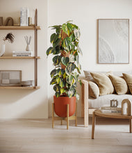 Charger l'image dans la galerie, Earth Red stand:light
