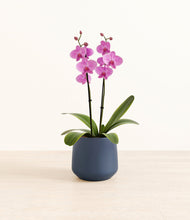 Load image into Gallery viewer, Deep Navy*****Profile
