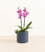 Load image into Gallery viewer, Deep Navy*****Profile
