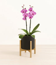 Load image into Gallery viewer, Black stand:bamboo
