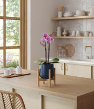 Load image into Gallery viewer, Deep Navy stand:bamboo
