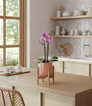 Load image into Gallery viewer, Calm Rose stand:bamboo
