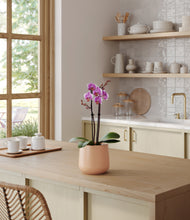 Load image into Gallery viewer, Gentle Pink
