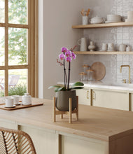 Load image into Gallery viewer, Olive stand:bamboo
