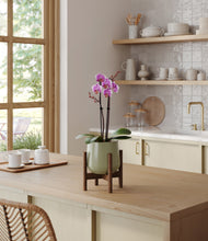 Load image into Gallery viewer, Turquoise stand:walnut
