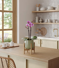 Load image into Gallery viewer, Turquoise stand:bamboo
