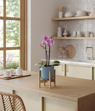 Load image into Gallery viewer, Misty Blue stand:bamboo
