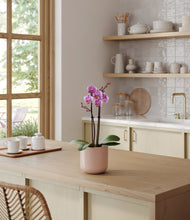 Load image into Gallery viewer, Sandy Pink
