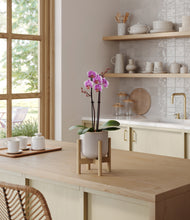 Load image into Gallery viewer, Snowdrift White stand:bamboo
