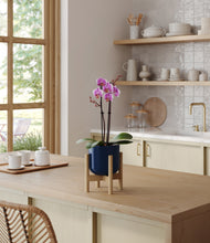 Load image into Gallery viewer, Twilight Blue stand:bamboo
