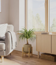 Load image into Gallery viewer, Olive stand:bamboo
