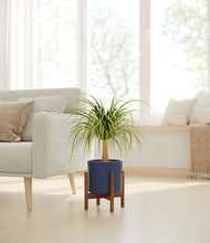 Load image into Gallery viewer, Deep Navy stand:walnut
