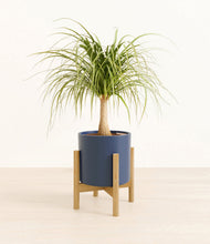 Load image into Gallery viewer, Deep Navy stand:bamboo
