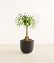 Load image into Gallery viewer, Stone Black*****Profile
