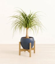 Load image into Gallery viewer, Deep Navy stand:bamboo
