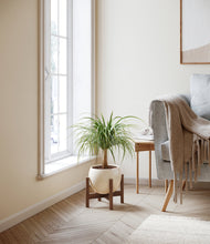 Load image into Gallery viewer, Shiny EggWhite stand:walnut
