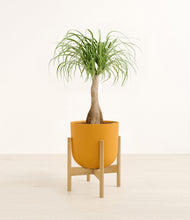 Load image into Gallery viewer, Sunset Orange stand:bamboo

