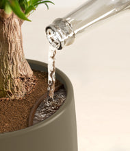 Load image into Gallery viewer, Olive stand:all
