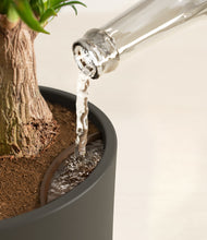 Load image into Gallery viewer, Dark Olive stand:all
