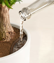 Lade das Bild in den Galerie-Viewer, Earthy stand:all
