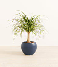 Load image into Gallery viewer, Deep Navy*****Profile
