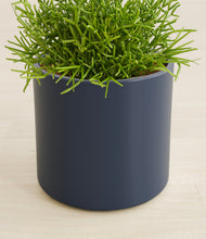 Load image into Gallery viewer, Deep Navy stand:all
