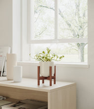Load image into Gallery viewer, Cotton White stand:walnut
