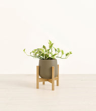 Load image into Gallery viewer, Olive stand:bamboo
