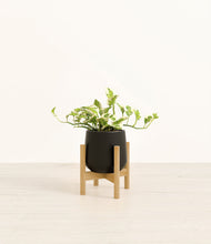 Load image into Gallery viewer, Black stand:bamboo
