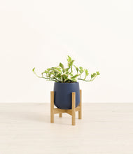 Load image into Gallery viewer, Deep Navy stand:bamboo
