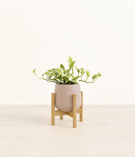 Load image into Gallery viewer, Eternal Gray stand:bamboo
