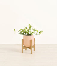 Load image into Gallery viewer, Gentle Pink stand:bamboo
