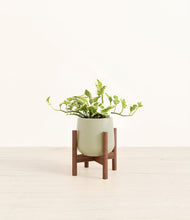 Load image into Gallery viewer, Turquoise stand:walnut
