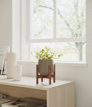 Load image into Gallery viewer, Olive stand:walnut

