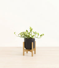 Load image into Gallery viewer, Stone Black stand:bamboo
