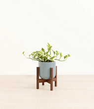 Load image into Gallery viewer, Misty Blue stand:walnut
